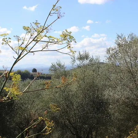 Il Covo Della Civetta Barberino di Val dʼElsa