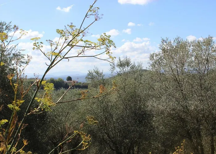 Il Covo Della Civetta Barberino di Val dʼElsa
